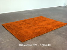 Extase - 521 - 170x240cm