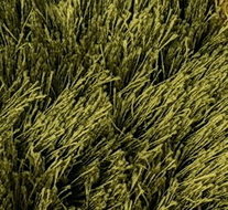 yarns - Galaxy - Moss green