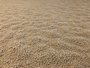 EARTH - Sand - 350x350cm round_