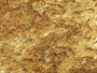 Galaxy - pale gold - 60x550cm_